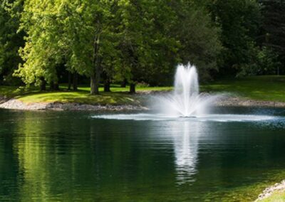 Fountain in Lake